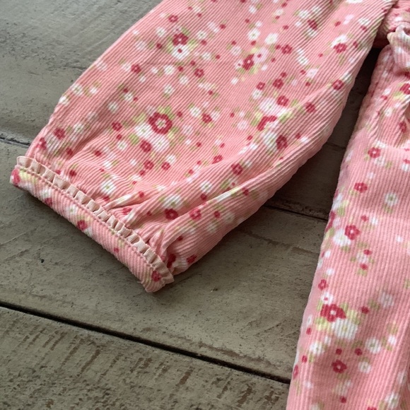 Gymboree Velvet Floral Dress - Picture 4 of 8